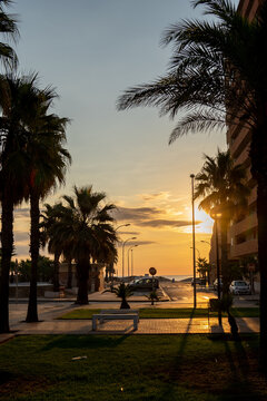 Amanecer entre palmeras