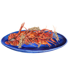 
watercolor illustration of crayfish on the plate