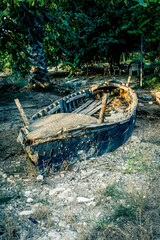 Barca abandonada en un huerto