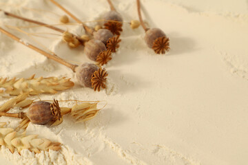  Culinary background: dry branches of cereals, poppy heads on scattered flour, side view, space for text