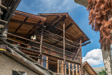 Maison traditionnelle à fuste , Village de Saint -Véran en été  , Massif du Queyras . Hautes-Alpes