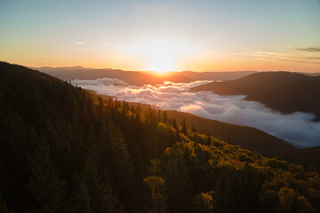 Plakat Aerial view of bright foggy morning over dark mountain forest trees at autumn sunrise. Beautiful scenery of wild woodland at dawn