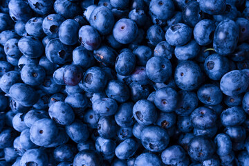 Fresh blueberry background. Texture blueberry berries close up.