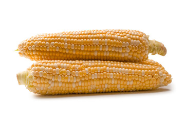 Yellow corn isolated on white background. Copyspace.