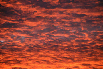 Bright colorful sunset sky with vivid smooth clouds illuminated with setting sun light spreading to horizon