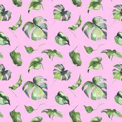 Fototapeta premium Watercolor pattern of monstera leaves