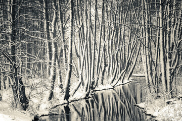 Rzeka i las podczas zimy, zdjęcie o mocnej ekspozycji, monochrome