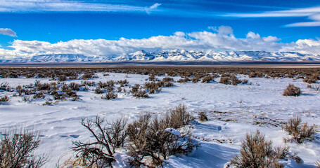 Mountain range across the plains with snow_02