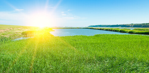 Estuary lake, reeds and sun. Wide photo.
