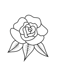 Rose Flowers Coloring Books vector for Kids