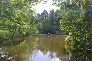 Fototapeta na wymiar Pond in Golders Hill Park, London