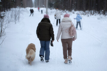 Fototapeta na wymiar Walking with a dog in winter in the park.Dog and man, a walk in winter.