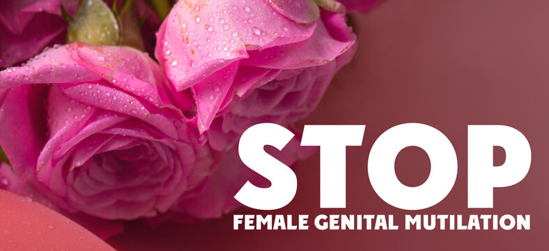 international day February 6 - Zero Tolerance for Female Genital Mutilation. Pink rose with blood, concept. banner. 