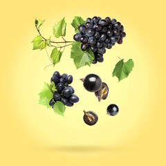 Delicious fresh dark blue grapes and green leaves falling on pale yellow background