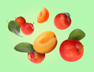 Tasty fresh plums and leaves falling on light green background