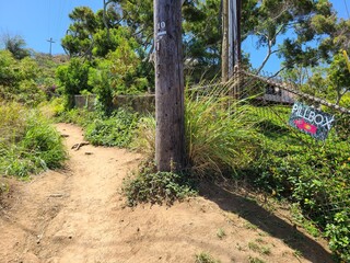Start of the Lanikai Pillbox trail in Oahu, Hawaii