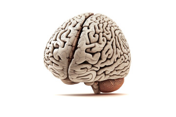 Obraz premium Model of human brain on white background. Profile view. Intelligence concept. the complexity of the human mind. Generative AI