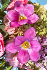 arreglo floral de rosas y ranunculus con craspedias primavera 2023