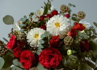 dhalias mexicanas en colores vibrantes
