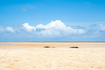 Fototapeta na wymiar Pontal beach, São Miguel Dos Milagres, Alagoas state, during low tide.