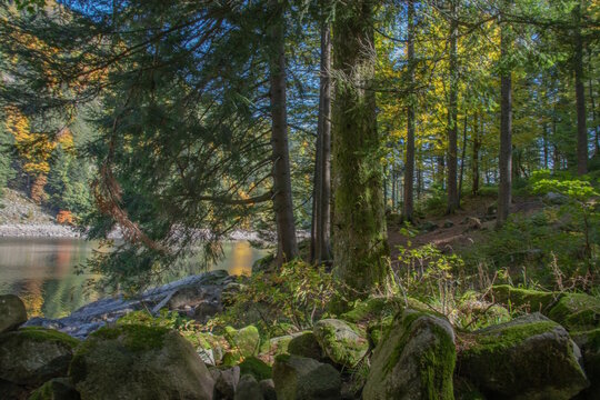 Le lac d"Altenweiher dans les Vosges en Automne - Vall&eacute;e de Mittlach pr&egrave;s de Munster