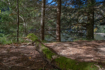 Le lac d"Altenweiher dans les Vosges en Automne - Vallée de Mittlach près de Munster