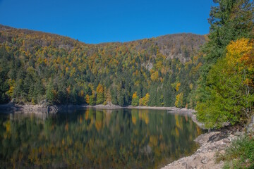 Le lac d"Altenweiher dans les Vosges en Automne - Vallée de Mittlach près de Munster