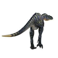 Aucasaurus dinosaur isolated 3d render
