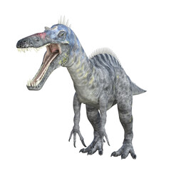 Obraz na płótnie Canvas Suchomimus dinosaur isolated 3d render
