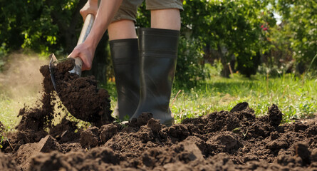 Gardening. Tillage. Dig. Planting. Man shoveling dirt shovel in ground. Farmer digging in garden...