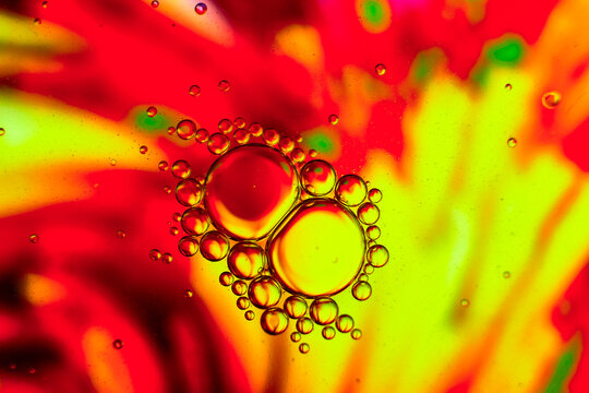 olejografia esy floresy tło