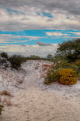 Trail to the Gulf