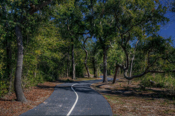 Hiking trail through a live oak grove at Gulf State Park. 
