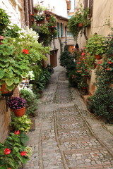 Fototapeta na wymiar Flowery old narrow alley in Spello, Umbria Italy