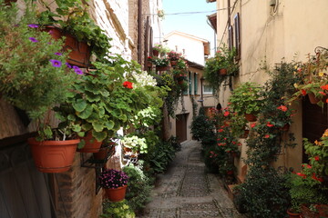 Fototapeta na wymiar Summer in old town of Spello, Umbria Italy