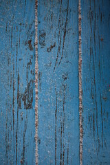 Obraz premium blue texture painted wood gray stripes covered white snow, background peeling old paint texture,Abstract blue-grey background old painted wood fence texture of peeling paint closeup, snow wood paint
