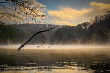 A moody winter atmosphere at Grundy Lakes of the South Cumberland State Park system in Tennessee.