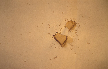 Brown splashes from coffee on a paper form. Tea stain on a piece of paper. A blob on the cardboard.