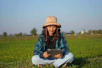 Naklejka na ściany i meble Asian female farmer uses computer to analyze rice growth.