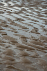 Tidal pool textures