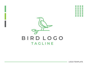 Fototapeta na wymiar Bird logo template in line art style.
