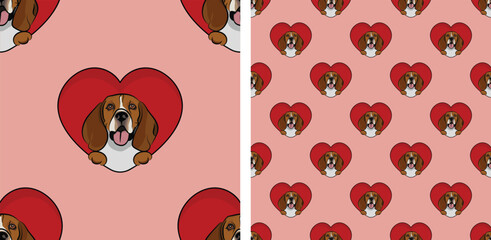 England, Beagle dog with paws pattern, Valentine's day heart wallpaper. Love heart with pet head holiday texture. Dog face Holding Heart Cartoon square background. St Valentine's day present paper.
