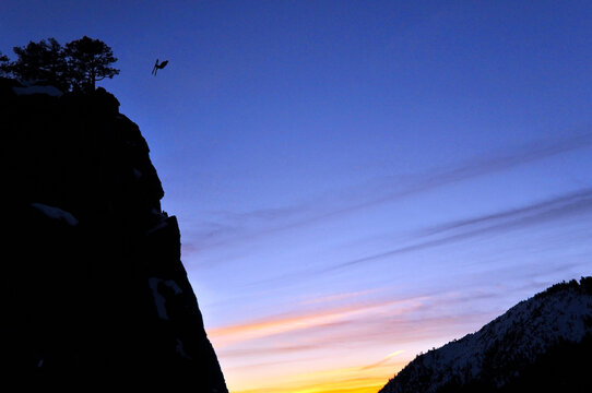 Pro skier Josh Daiek performs a front flip at sunset while ski BASE jumping off of Lovers Leap in Strawberry, CA.