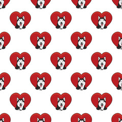 Fototapeta premium Winter Husky dog with paws pattern, Valentine's day heart wallpaper. Love heart with pet head holiday texture. Dog face Holding Heart Cartoon square background. St Valentine's day present paper.