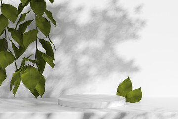 White stone cylinder plate with green leaves. Mockup for product display