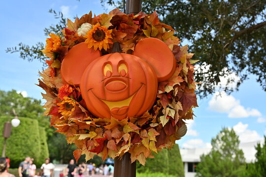 Mickey Mouse Pumpkin, Walt Disney World Parks, 50 anniversary, Orlando, Florida