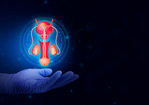 Balanitis-Bilder: Stock-Fotos & -Videos. | Adobe Stock