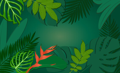 Fototapeta na wymiar Rainforest leaf - Amazonia