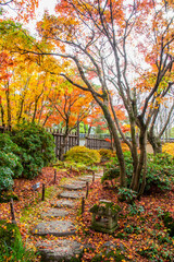 the autumn view of one gardern in Kokoen, is a relatively recently constructed Japanese style garden,  it is next to Himeji Castle Hyogo Prefecture Japan. 