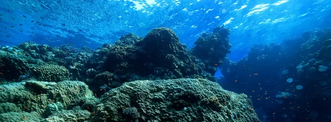 Tuinposter panorama coral reef underwater landscape seascape © kichigin19